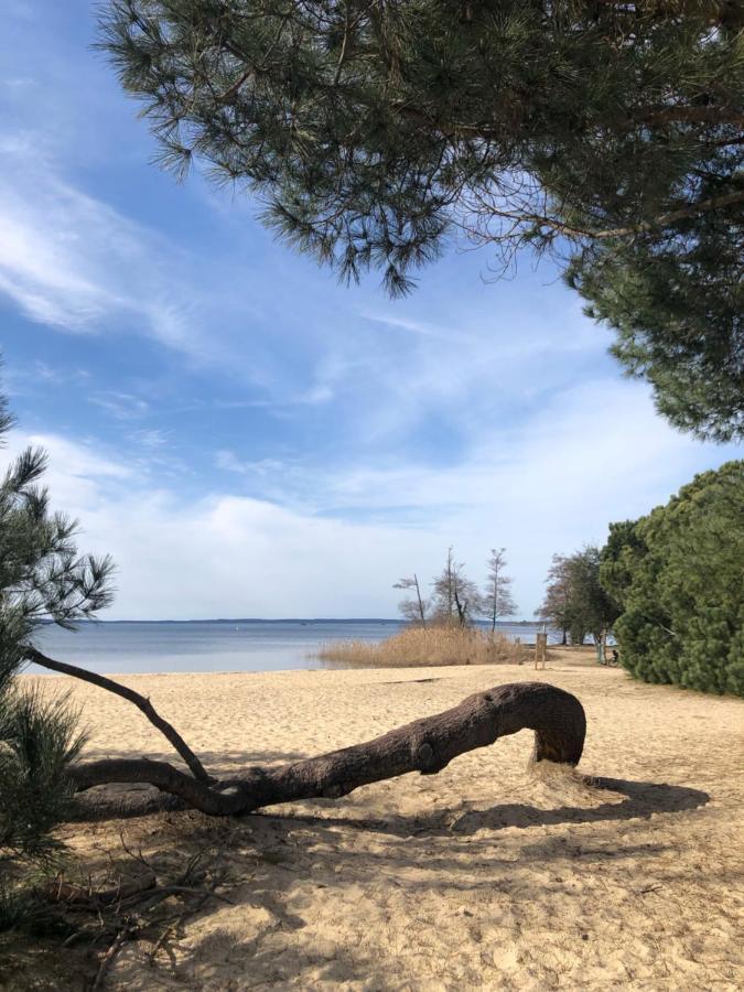 Gite Au Coeur Des Landes Lue Zewnętrze zdjęcie